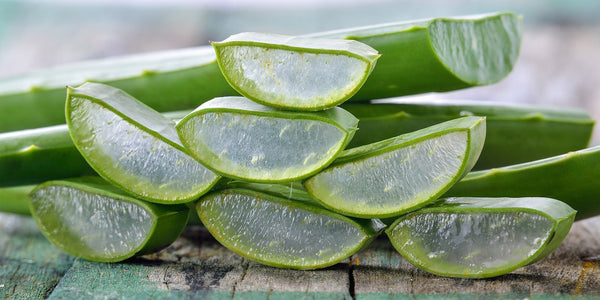 Aloe Barbadensis (Aloe Vera) Leaf Juice