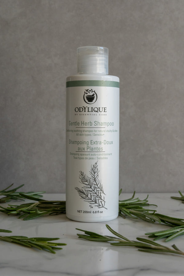 Odylique Gentle Herb Shampoo