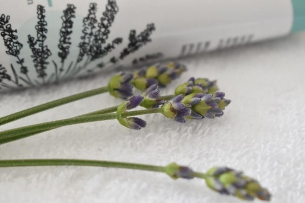 Odylique Lavender Conditioner & Detangler